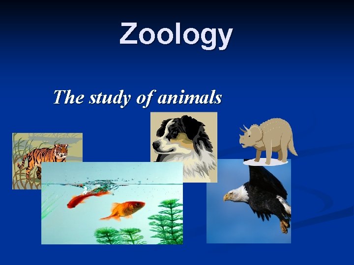 Zoology The study of animals 