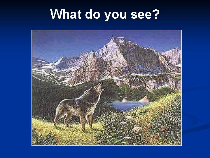 What do you see? 