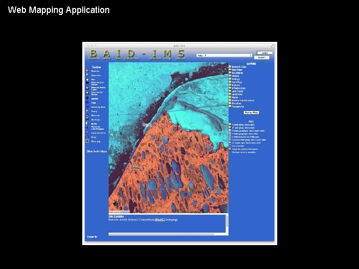 Web Mapping Application 