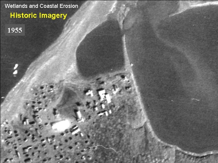 Wetlands and Coastal Erosion Historic Imagery 1955 