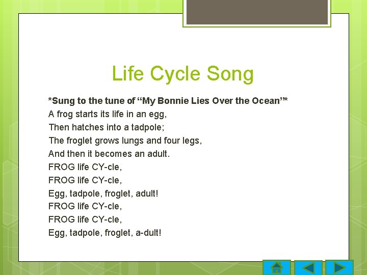 Life Cycle Song *Sung to the tune of “My Bonnie Lies Over the Ocean”*