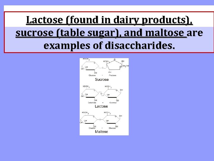 Lactose (found in dairy products), sucrose (table sugar), and maltose are examples of disaccharides.