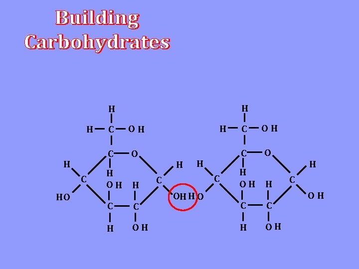 H H C HO C OH C O H OH H C C OH
