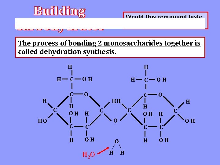 Would this compound taste sweet as well? The process of bonding 2 monosaccharides •