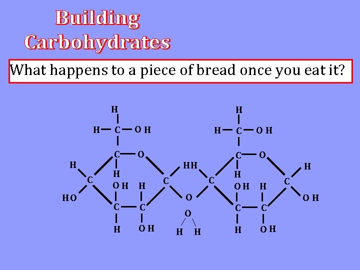 What happens to a piece of bread once you eat it? H H H