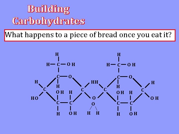What happens to a piece of bread once you eat it? H H H