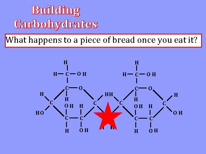 What happens to a piece of bread once you eat it? H H H