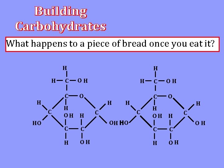 What happens to a piece of bread once you eat it? H H H
