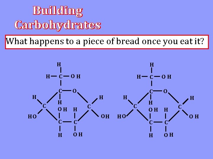 What happens to a piece of bread once you eat it? H H H