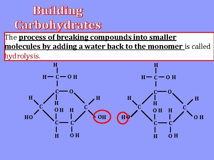 The process of breaking compounds into smaller What happens to a piece of bread