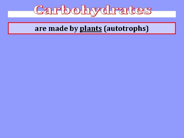 are made by plants (autotrophs) 