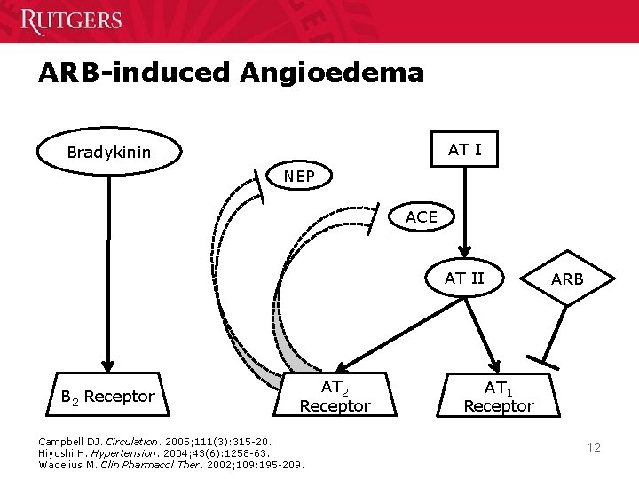 ARB-induced Angioedema AT I Bradykinin NEP ACE AT II B 2 Receptor AT 2