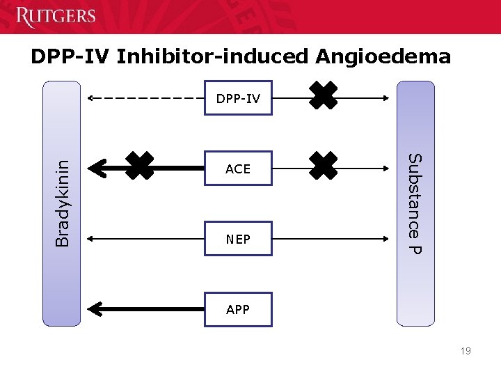 DPP-IV Inhibitor-induced Angioedema ACE NEP Substance P Bradykinin DPP-IV APP 19 