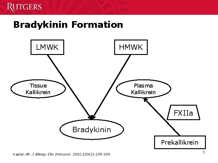Bradykinin Formation LMWK HMWK Tissue Kallikrein Plasma Kallikrein FXIIa Bradykinin Prekallikrein Kaplan AP. J