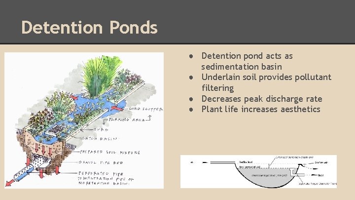 Detention Ponds ● Detention pond acts as sedimentation basin ● Underlain soil provides pollutant
