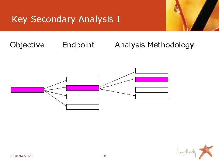 Key Secondary Analysis I Objective H. Lundbeck A/S Endpoint Analysis Methodology 9 