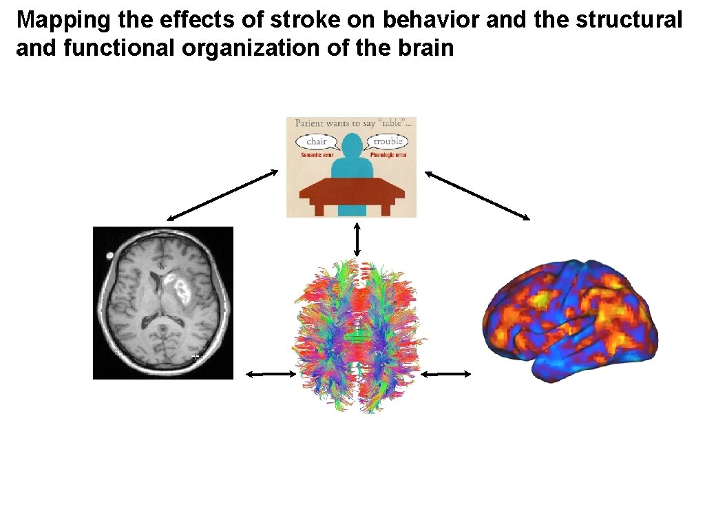 Alterations of functional connectivity in the human brain