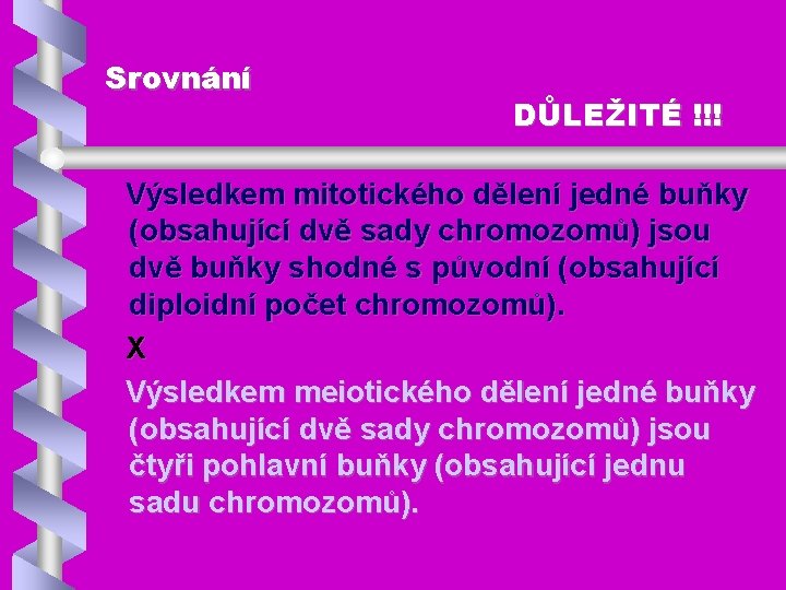 Srovnání DŮLEŽITÉ !!! Výsledkem mitotického dělení jedné buňky (obsahující dvě sady chromozomů) jsou dvě