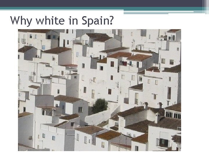 Why white in Spain? 