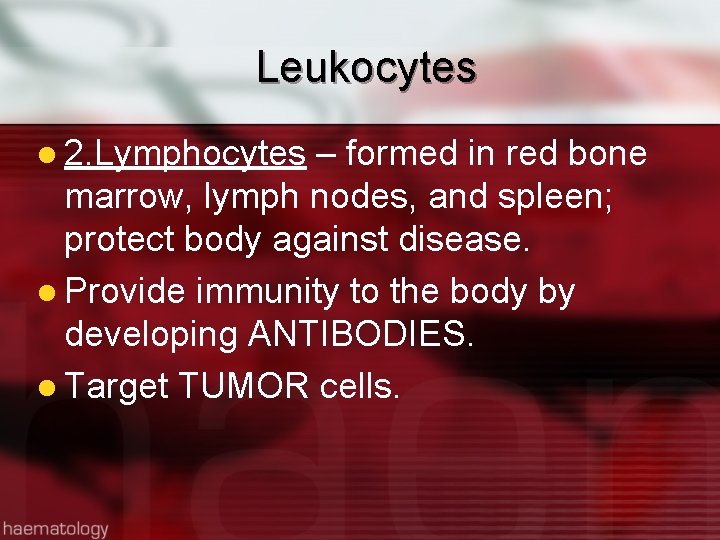 Leukocytes l 2. Lymphocytes – formed in red bone marrow, lymph nodes, and spleen;
