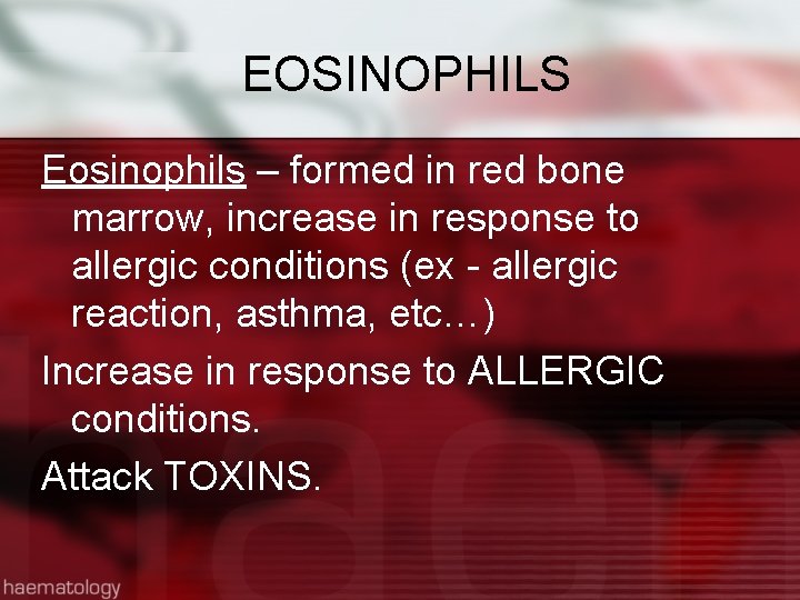 EOSINOPHILS Eosinophils – formed in red bone marrow, increase in response to allergic conditions