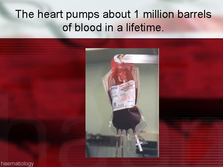 The heart pumps about 1 million barrels of blood in a lifetime. 