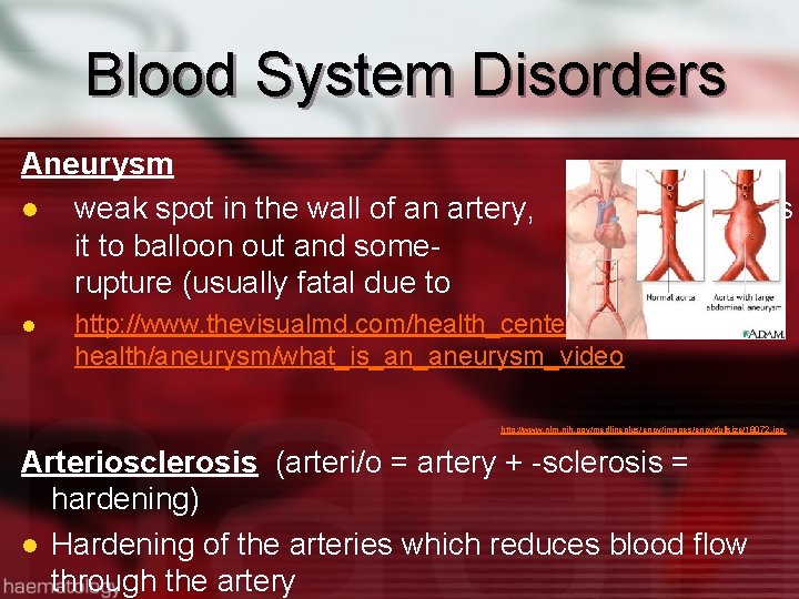 Blood System Disorders Aneurysm l weak spot in the wall of an artery, it