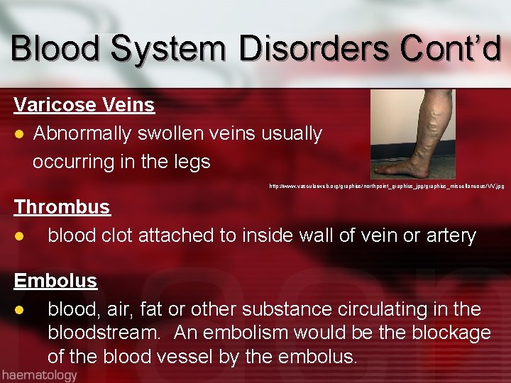 Blood System Disorders Cont’d Varicose Veins l Abnormally swollen veins usually occurring in the