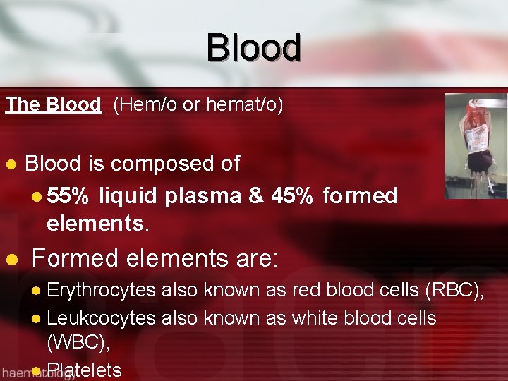 Blood The Blood (Hem/o or hemat/o) l l Blood is composed of l 55%