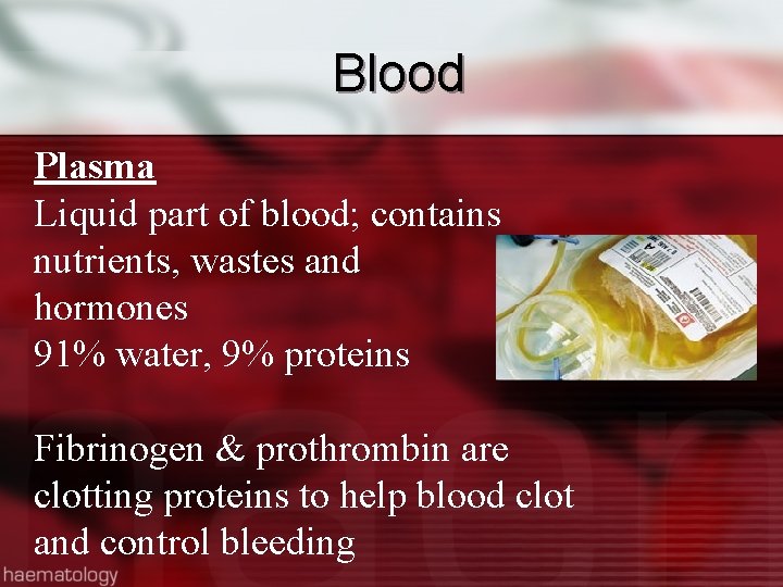 Blood Plasma Liquid part of blood; contains nutrients, wastes and hormones 91% water, 9%