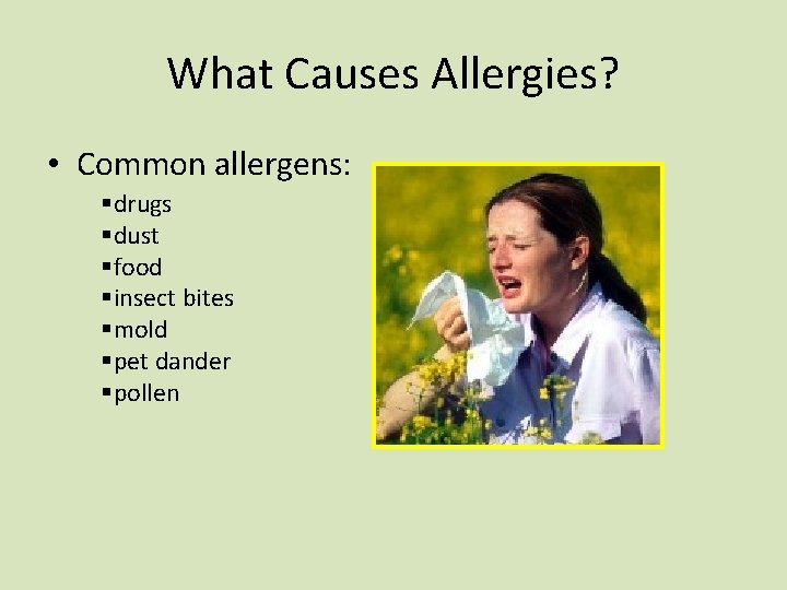 What Causes Allergies? • Common allergens: §drugs §dust §food §insect bites §mold §pet dander What Causes Allergies? • Common allergens: §drugs §dust §food §insect bites §mold §pet dander