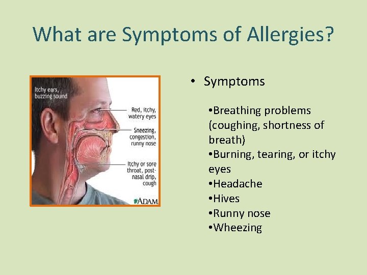 What are Symptoms of Allergies? • Symptoms • Breathing problems (coughing, shortness of breath) What are Symptoms of Allergies? • Symptoms • Breathing problems (coughing, shortness of breath)