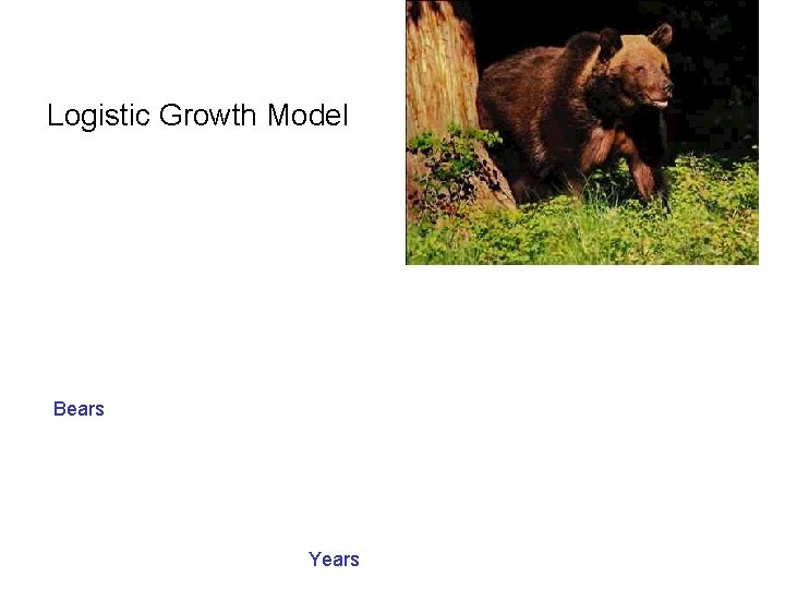 Logistic Growth Model Bears Years 