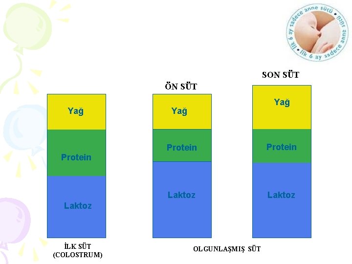 8 SON SÜT ÖN SÜT Yağ Yağ Protein Laktoz İLK SÜT (COLOSTRUM) OLGUNLAŞMIŞ SÜT