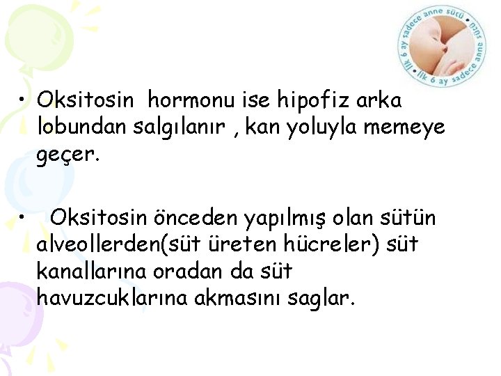  • Oksitosin hormonu ise hipofiz arka lobundan salgılanır , kan yoluyla memeye geçer.