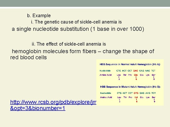 b. Example i. The genetic cause of sickle-cell anemia is a single nucleotide substitution