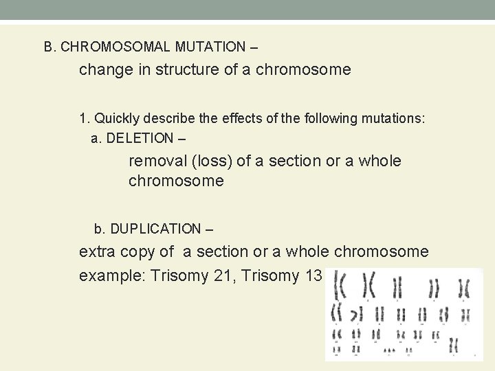 B. CHROMOSOMAL MUTATION – change in structure of a chromosome 1. Quickly describe the