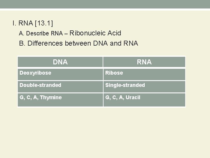 I. RNA [13. 1] A. Describe RNA – Ribonucleic Acid B. Differences between DNA