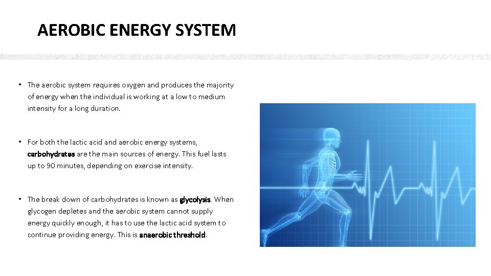 AEROBIC ENERGY SYSTEM • The aerobic system requires oxygen and produces the majority of