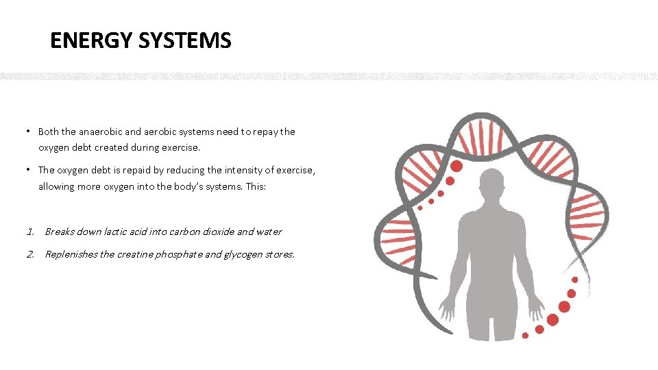 ENERGY SYSTEMS • Both the anaerobic and aerobic systems need to repay the oxygen