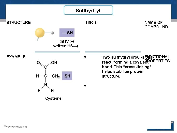 Sulfhydryl Thiols STRUCTURE NAME OF COMPOUND (may be written HS—) • EXAMPLE • Cysteine