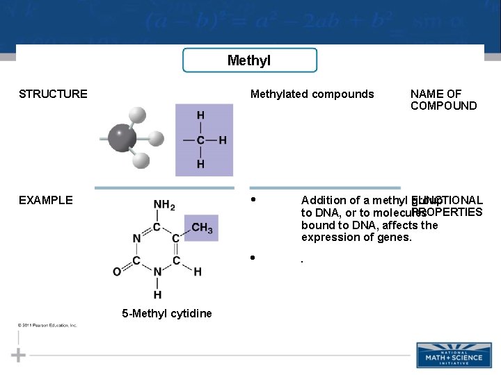 Methyl STRUCTURE Methylated compounds EXAMPLE • Addition of a methyl FUNCTIONAL group PROPERTIES to