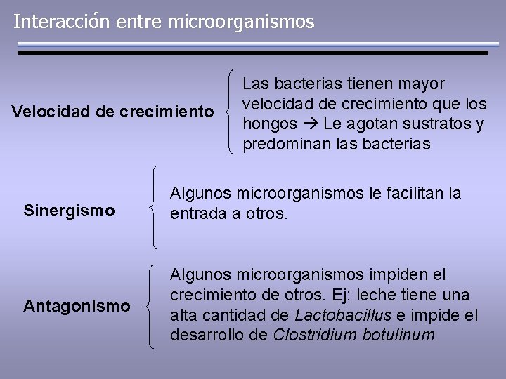 Interacción entre microorganismos Velocidad de crecimiento Las bacterias tienen mayor velocidad de crecimiento que