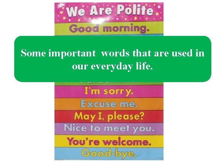 Some important words that are used in our everyday life. 