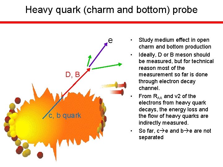 Heavy quark (charm and bottom) probe e • • D, B • c, b