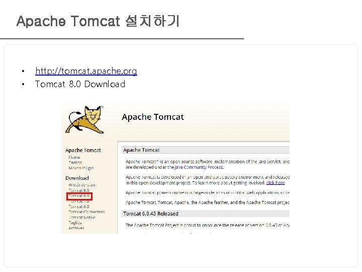 Apache Tomcat 설치하기 • • http: //tomcat. apache. org Tomcat 8. 0 Download 