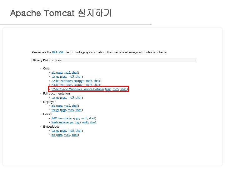 Apache Tomcat 설치하기 