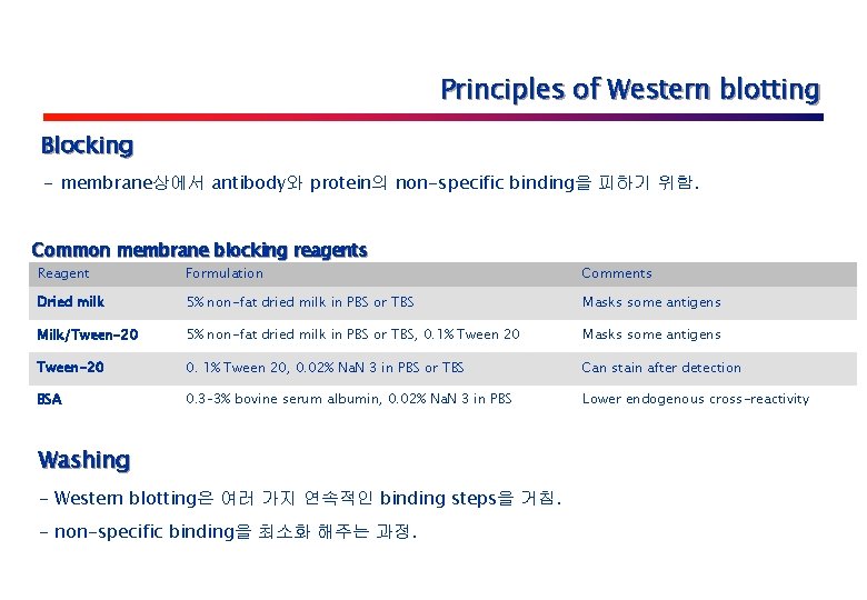 Principles of Western blotting Blocking - membrane상에서 antibody와 protein의 non-specific binding을 피하기 위함. Common