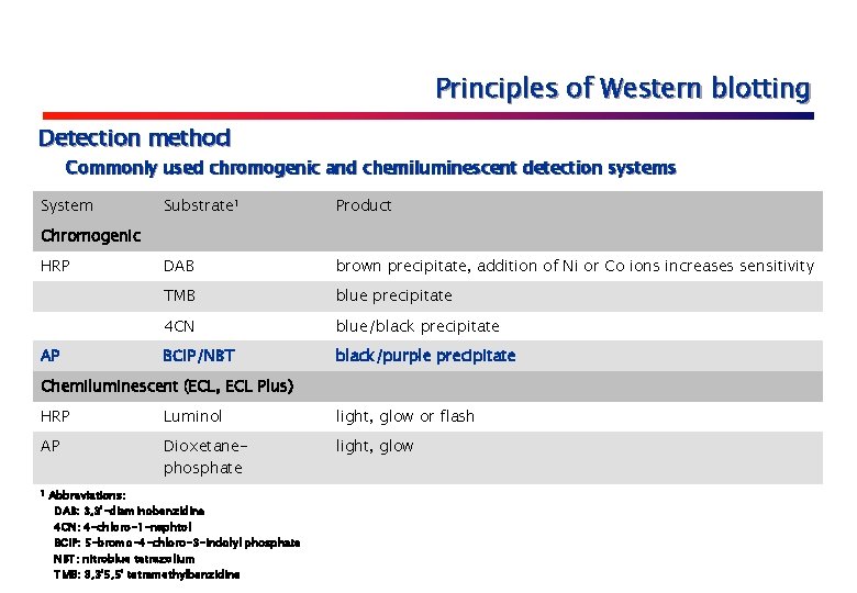 Principles of Western blotting Detection method Commonly used chromogenic and chemiluminescent detection systems System