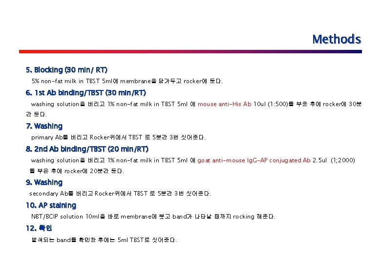 Methods 5. Blocking (30 min/ RT) 5% non-fat milk in TBST 5 ml에 membrane을